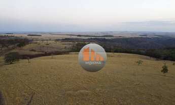 Imagem: Fazenda à venda, 306 alqueires por R$ 45.000.000