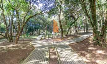 Imagem 6: Apartamento para venda tem 55 metros quadrados com 3 quartos