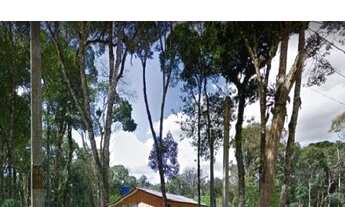 Imagem 3: Terreno no centro de Fazenda Rio Grande- Paraná