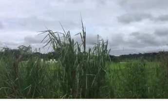 Imagem 4: Terreno - Samambaia Campus