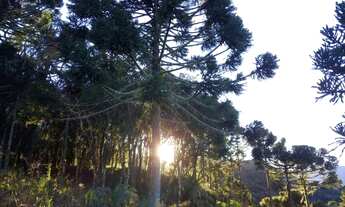 Imagem 6: Terreno Rural com Cabana