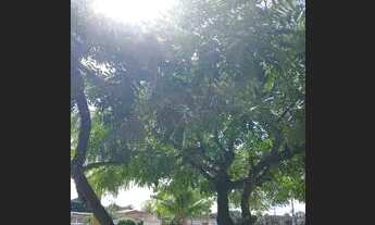 Imagem 7: Casa para alugar em Camaçari