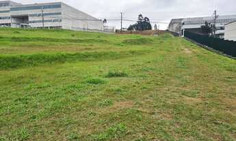 Imagem 2: Santana de Parnaíba - Galpão/Depósito/Armazém - Alphaville