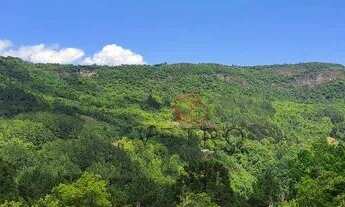 Imagem 5: Sítio na Linha Pedra Branca em Gramado!