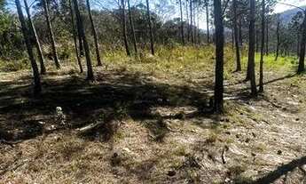 Imagem 2: Lote/Terreno para venda tem 1000 metros quadrados em Centro - Mairiporã - SP