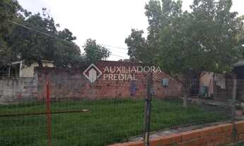 Imagem 2: PORTO ALEGRE - Terreno Padrão - Sarandi