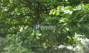 Imagem 3: Apartamento, 3 quartos, suíte, humaitá