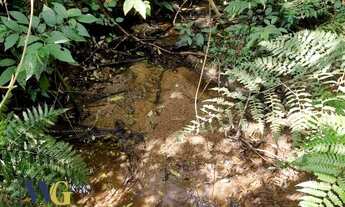 Imagem 2: Terreno para Venda em Campo Largo, Colônia Balbino Cunha