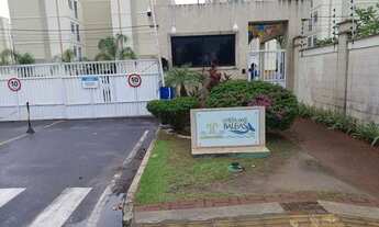 Imagem: Costa da baleia