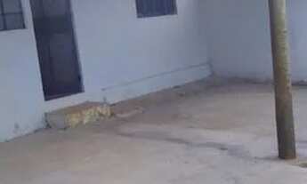 Imagem 4: Casa Caetanópolis - oportunidade!