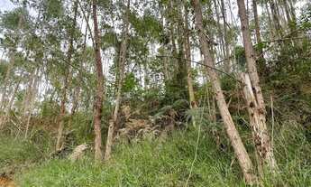 Imagem 6: Terreno em Domingos Martins