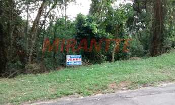 Imagem 3: Terreno em Serra Da Cantareira