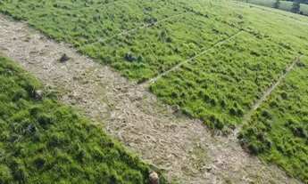 Imagem: Lote/Terreno para venda possui 600 metros