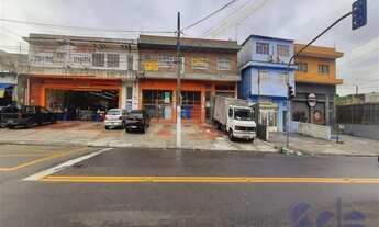 Imagem: Sao Paulo - Casa Padrão - Jardim Cachoeira