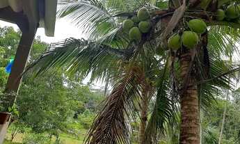 Imagem 6: Chácara Chácara com venda por R$350.000