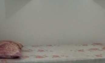 Imagem 7: Casa de praia (menos de 10 minutos a pé do mar) São José da Coroa Grande