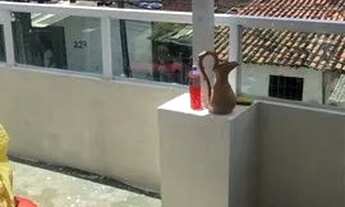 Imagem 5: Casa para alugar