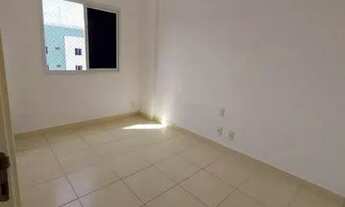 Imagem 4: Arboris Jabotiana