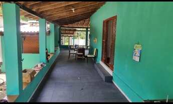 Imagem 4: SÍTIO 41 HECTARES EM LIVRAMENTO