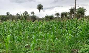 Imagem 2: Baixadão 5.000m², margens do Rio Cipó, terra de qualidade, Serra do Cipó