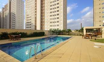 Imagem: AGUA BRANCA JARDIM DOS GIRASSÓIS