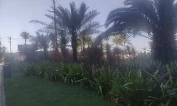 Imagem 3: Apartamento temporada