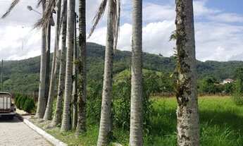 Imagem 4: Linda casa no centro de Aguas Mornas com piscina