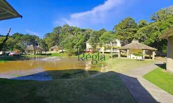 Imagem 5: Apartamento no bairro São Luiz em Canela!