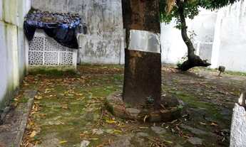 Imagem 3: Casa para aluguel tem 350 metros quadrados com 4 quartos em Aflitos - Recife - PE