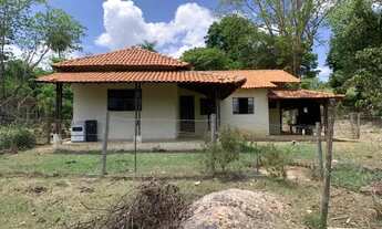 Imagem 5: Fazenda 47ha, 2 casas sede/caseiro plantação de mogno,manga palmer, nascente e córrego