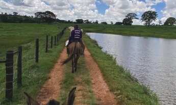 Imagem: Fazenda de 103 alqueires Região de Itauçu-Go