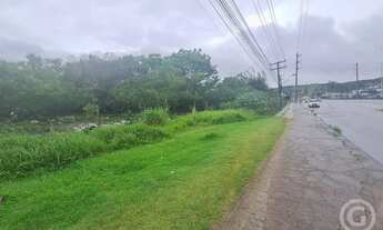 Imagem 3: Terreno amplo em localização estratégica em Florianópolis