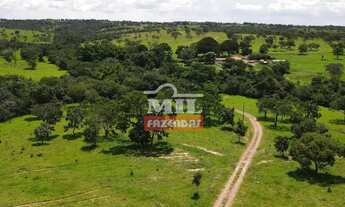 Imagem 2: Fazenda 310 alqueires (1.500,4 hectares) Catalão - GO