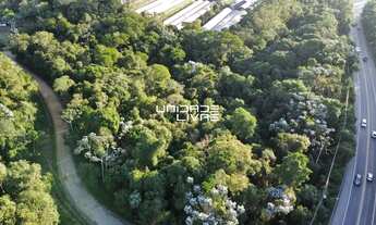 Imagem 3: Área Rural com 20.000,00m² em frente a Rodovia em Mogi das Cruzes - SP