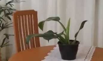 Imagem 3: Vagas em República para rapazes