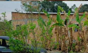 Imagem 7: Lote Ponte Alta Norte