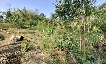 Imagem 7: AREA - VILA SANTO ANTÔNIO - SP