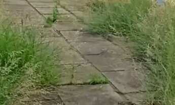 Imagem 4: Terreno plano, localizado em ponto comercial à venda no Centro de São Leopoldo