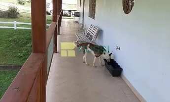 Imagem 7: Chácara com 4 dormitórios, 20000 m² - venda por R$ 2.231.000,00 ou aluguel por R$ 9.000,00