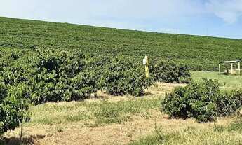 Imagem 3: Linda fazenda para venda em Três Corações - MG