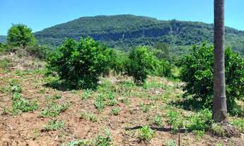 Imagem 3: Área de terra bairro Jammerthal, Picada Café.RS Ref.:165