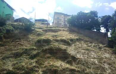 Imagem 2: Lotes Comerciais no João Braz