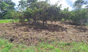 Imagem 5: Lote no condomínio quatro estações