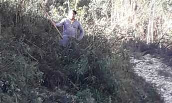 Imagem: Chácara em Almirante Tamandaré