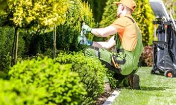 Imagem: Empresa de Paisagismo Consolidada à Venda