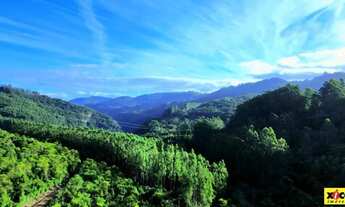 Imagem 7: Sítio / Chácara para Venda em Nova Petrópolis, São Jacó