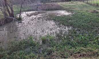 Imagem 5: Sítio para Venda em Palmeira dos Índios, Palmeira de Fora, 3 dormitórios, 1 suíte, 1 banhe