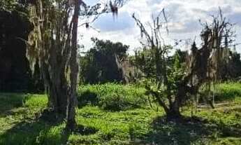 Imagem 3: Terreno á venda em Ratones | Ratones | Florianópolis