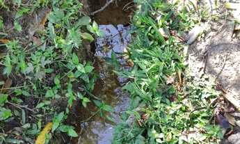 Imagem 7: Descubra um Paraíso Escondido em Nazaré Paulista - 12.000 m² com Lago, Mina d?Água e Natur