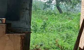 Imagem 7: Vendo chácara de 5 mil metros quadrado